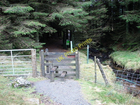 Photo 6"x4" Stile at the edge of Hafren Forest Source of River Severn \/ Afon Hafren c2009