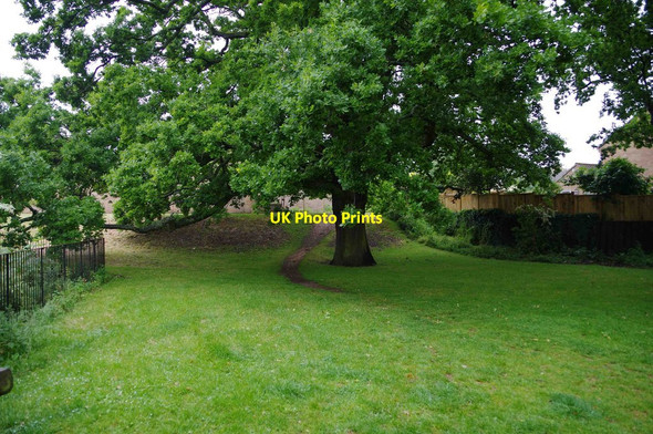 Photo 6"x4" Oak tree and footpath, Charlton Kings, Cheltenham, Glos Cheltenham c2015