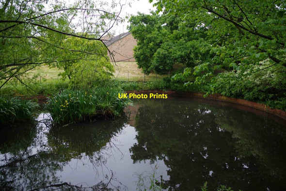Photo 6"x4" Pond (1), Charlton Kings, Cheltenham, Glos Cheltenham c2015