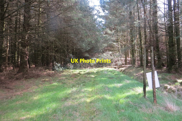 Photo 6"x4" Track, Glaisters Kirkgunzeon c2015