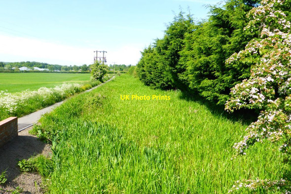 Photo 6"x4" Carron works lade Falkirk c2015