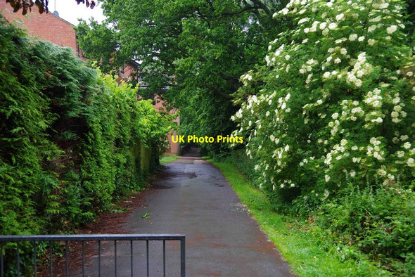 Photo 6"x4" Footpath & cycleway from Cox's Meadow to Charlton Kings, Cheltenham, Glos Cheltenham c2015