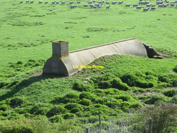 Photo 6"x4" One of the Stantons Ashendon c2015