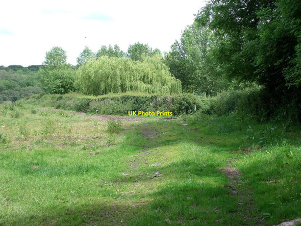 Photo 6"x4" Bridleway to nowhere Calke c2015