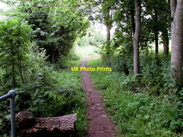 Photo 6"x4" Thames Path north of Parker's Bridge near Ewen Ewen c2015