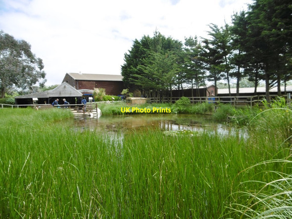 Photo 6"x4" Weymouth Sealife Centre, pond Weymouth\/SY6779 c2015