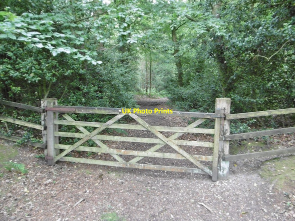 Photo 6"x4" Norley Inclosure, gate Norleywood c2015