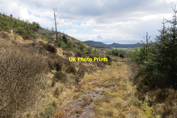 Photo 6"x4" Track, Ryes Plantation Ryes Hill c2015