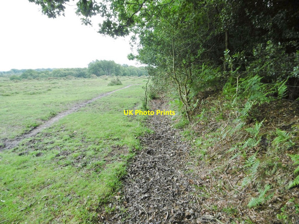 Photo 6"x4" Norley Inclosure, embankment & ditch Norleywood c2015