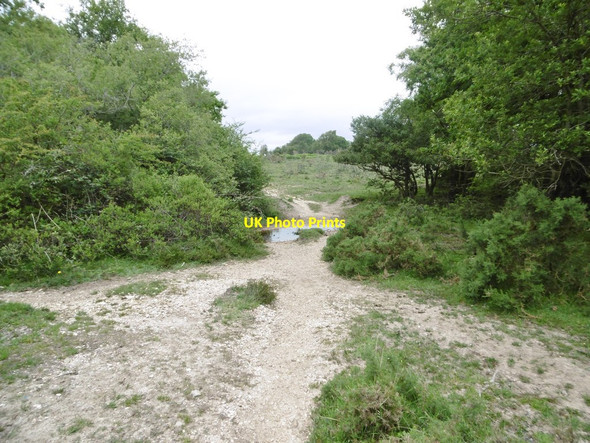 Photo 6"x4" Lower Crockford Bottom, ford Norleywood c2015