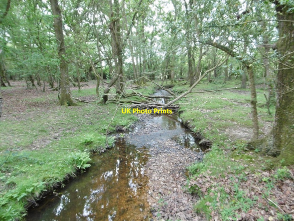 Photo 6"x4" Crockford Stream Norleywood c2015