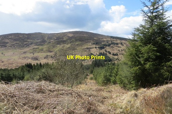 Photo 6"x4" Ride, Ryes Hill Ryes Hill c2015