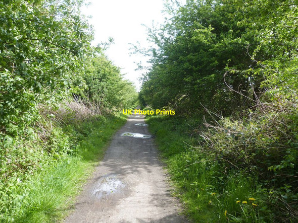 Photo 6"x4" Former railway track footpath to Holywell Dene Holywell\/NZ3174 c2015