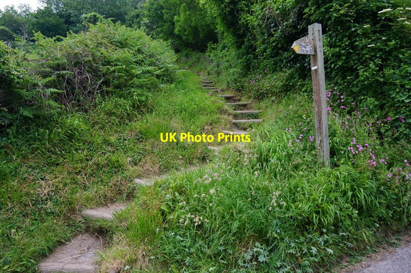 Photo 6"x4" Steps on the coast path Dartmouth c2015