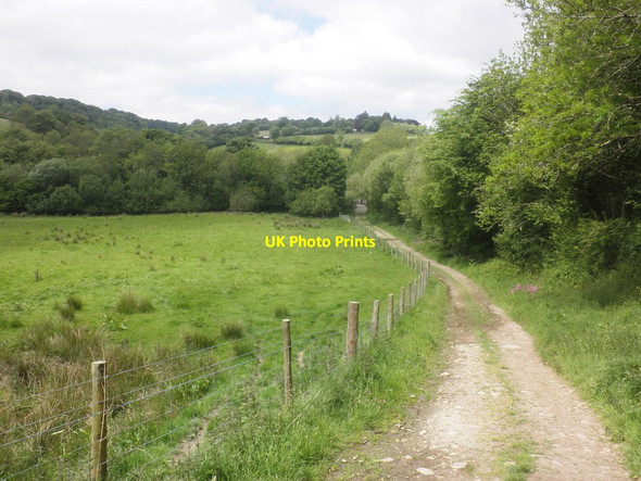 Photo 6"x4" Track to Court Farm North Court\/SS8537 c2015