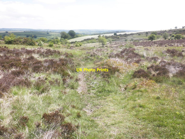 Photo 6"x4" Path on South Hill Hawkridge c2015