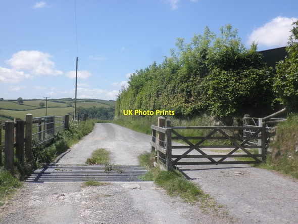 Photo 6"x4" Cattle Grid on Ashway Lane Hawkridge c2015