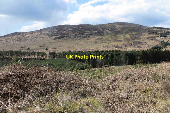 Photo 6"x4" Drumcrow Hill and Maiden Pap Drumcow Burn c2015