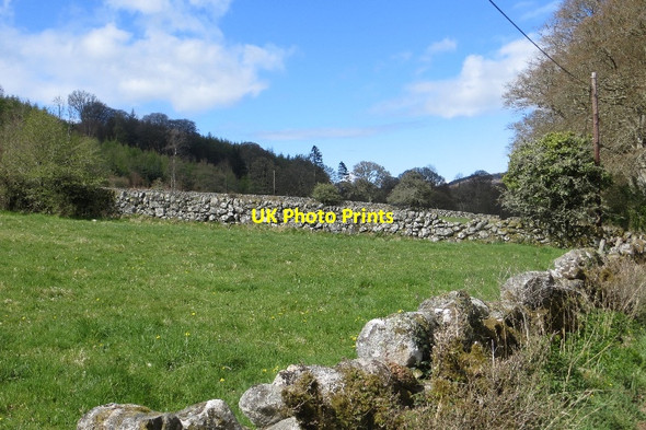 Photo 6"x4" Dykes, Caulkerbush Caulkerbush c2015