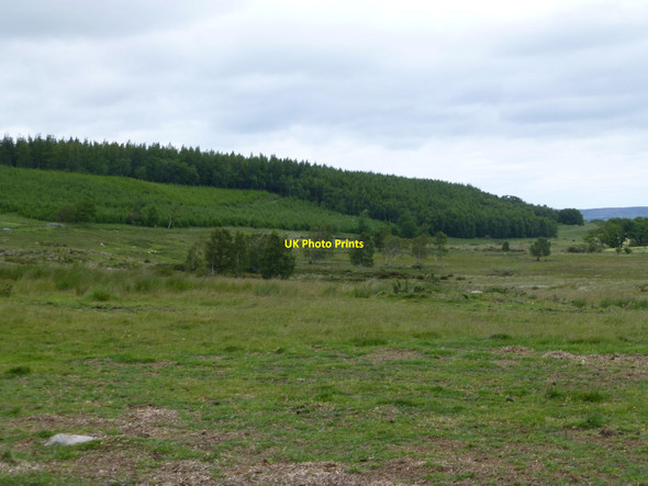 Photo 6"x4" Newtown Moor Newtown\/NU0425 c2015