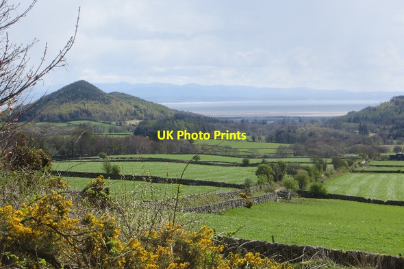 Photo 6"x4" Road, Ryes Caulkerbush c2015