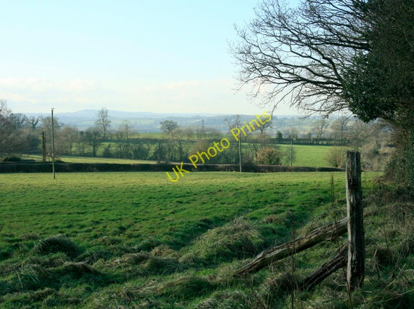 Photo 6"x4" 2009 : North west from Shepherd's Lane East Woodlands\/ST7844 c2009