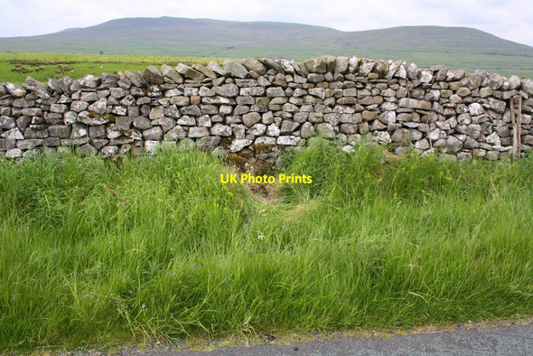Photo 6"x4" View over dry stone wall on west side of High Birkwith Lane New Houses\/SD8073 c2015