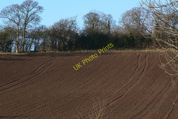 Photo 6"x4" Tweed pattern Carlton\/SK6041 c2009