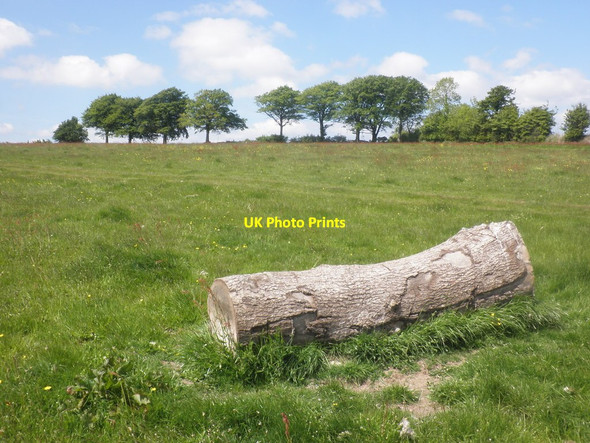 Photo 6"x4" Somewhere to sit on Court Down Dulverton c2015