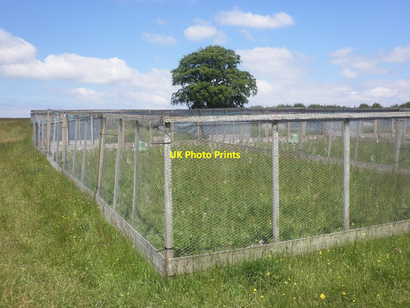 Photo 6"x4" Pheasant hatchery Dulverton c2015