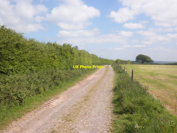 Photo 6"x4" Track on Edbrooke Hill Bridgetown\/SS9233 c2015