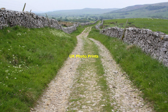 Photo 6"x4" Looking south along Harber Scar Lane Brackenbottom c2015