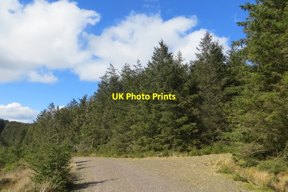 Photo 6"x4" Logging road, Meikle Hard Hill Meikle Hard Hill c2015