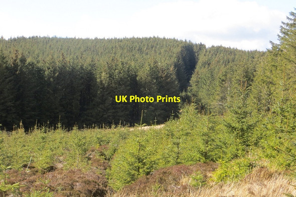 Photo 6"x4" Little Hard Hill Meikle Hard Hill c2015
