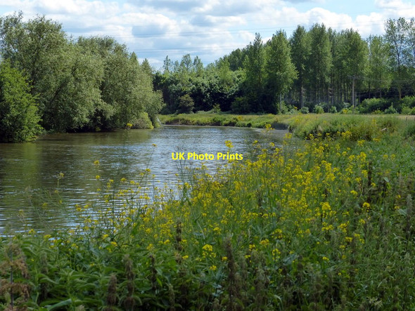 Photo 6"x4" Looking south along the River Thames Sandford-on-Thames c2015