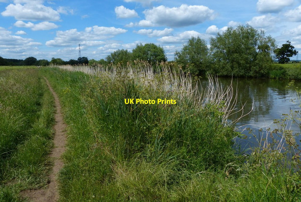 Photo 6"x4" North along the Thames Path and the River Thames Lower Radley c2015