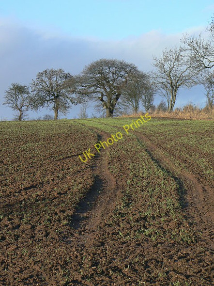 Photo 6"x4" Crop marks Arnold\/SK5945 c2009