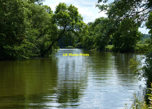 Photo 6"x4" Looking south along the River Thames Lower Radley c2015
