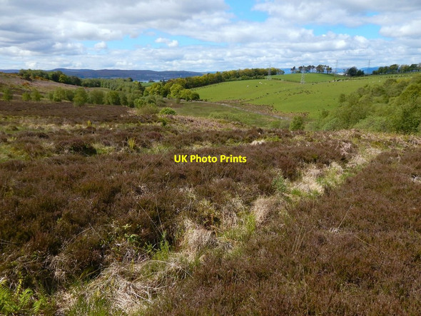 Photo 6"x4" Furrowed area Ardoch\/NS3676 c2015