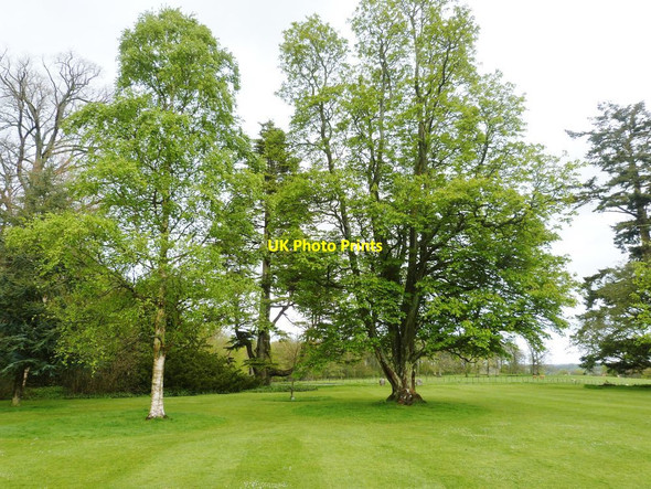 Photo 6"x4" Wallington Estate gardens Cambo\/NZ0285 c2015