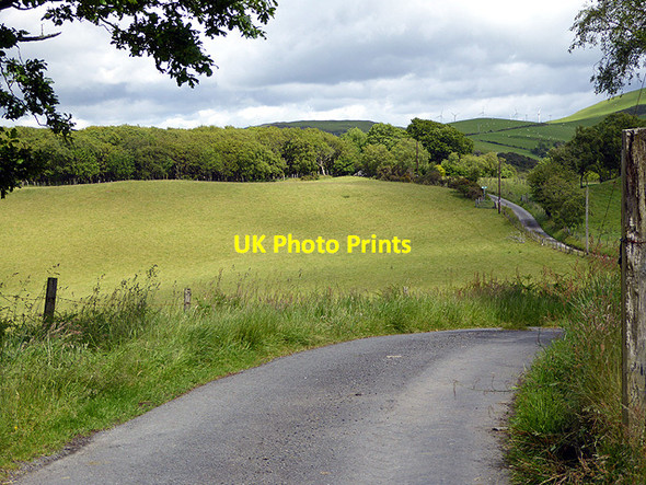 Photo 6"x4" The road from Cefn Bangor Farm to Goginan Dollwen c2015
