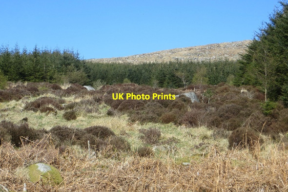 Photo 6"x4" Wide ride Caulkerbush c2015