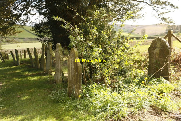 Photo 6"x4" Headstones by the Trees Colva c2015