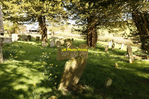 Photo 6"x4" St David's Churchyard Colva c2015