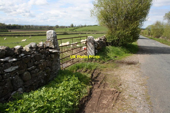 Photo 6"x4" Road past sheep pasture towards King's Meaburn Drybeck\/NY6615 c2015