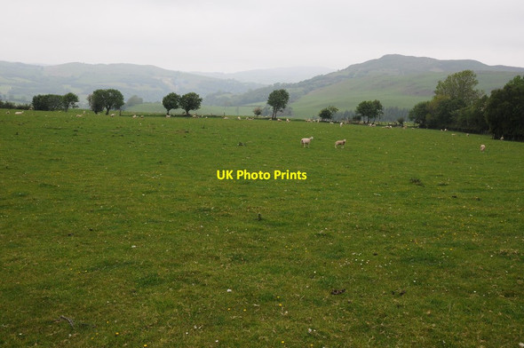Photo 6"x4" Field beside Cefn-y-groes-fawr Llansannan c2015