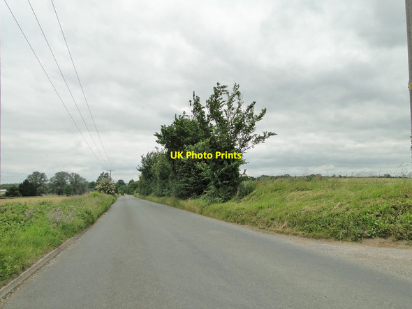 Photo 6"x4" Paper Mill Lane near Mockbeggar's Hall Commo c2015