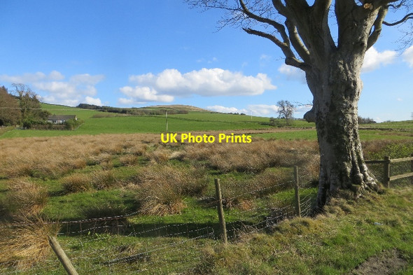 Photo 6"x4" Wet pasture beside the A711 Beeswing c2015
