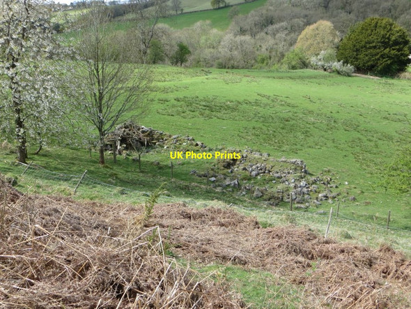 Photo 6"x4" Remains of a Building Llandrindod Wells\/Llandrindod c2015