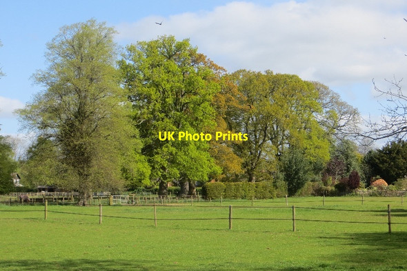 Photo 6"x4" Park, Ashford Court Ashford Carbonell c2015